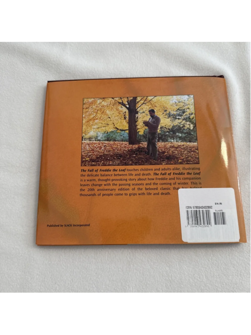Unbranded fall freddie